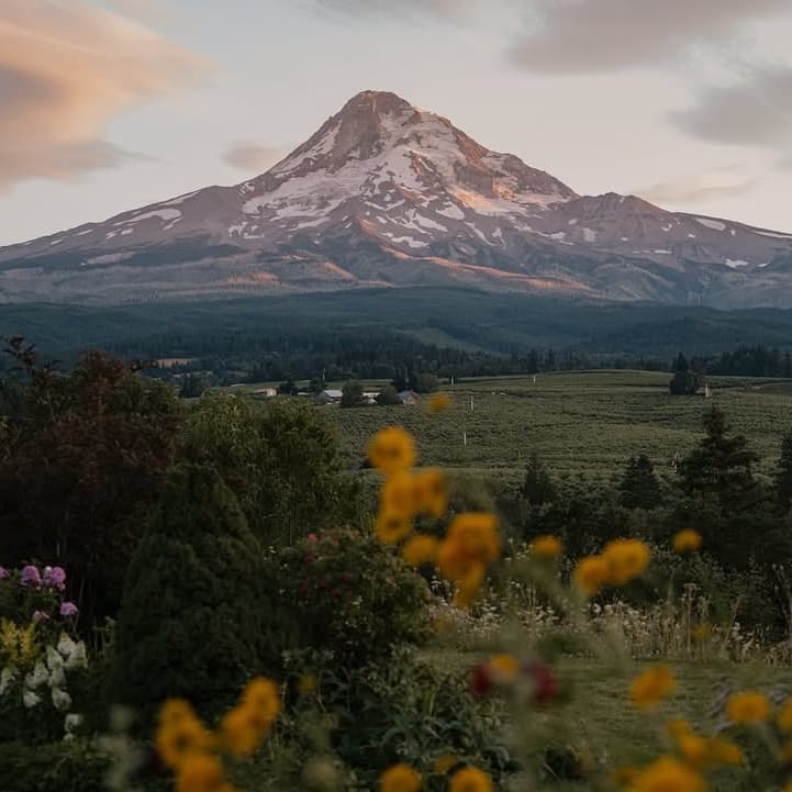 Mt Hood Organic Farms