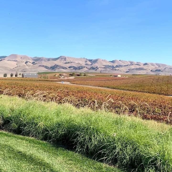 Greengate Ranch & Vineyard portfolio 4