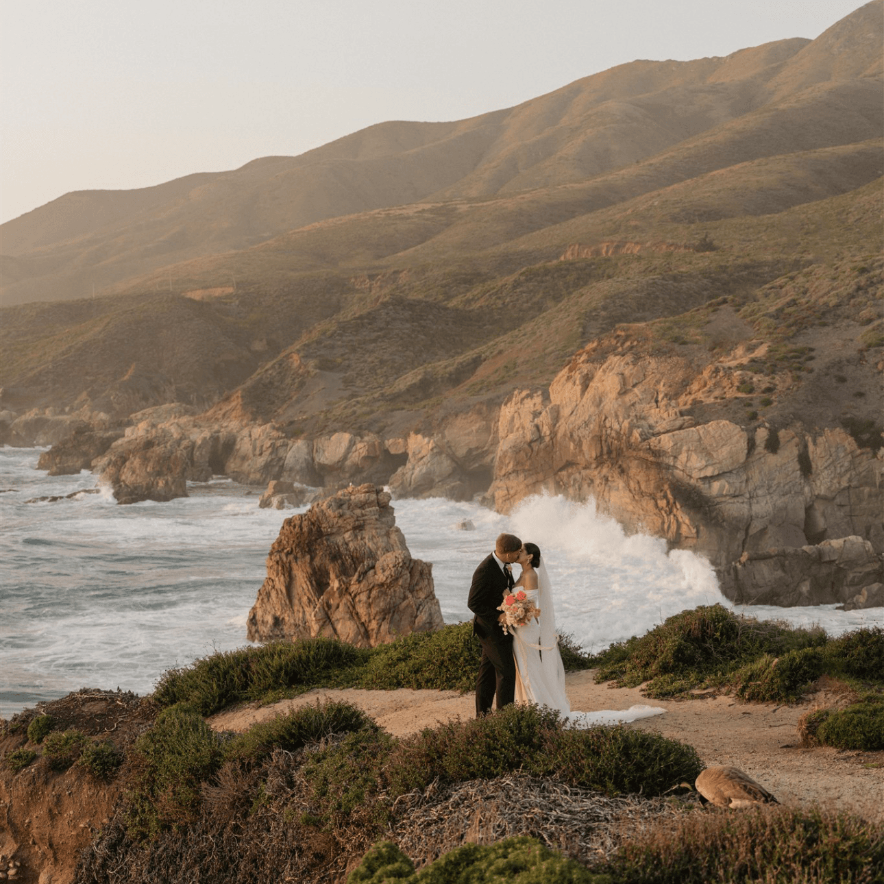 Carrie Rogers Photography