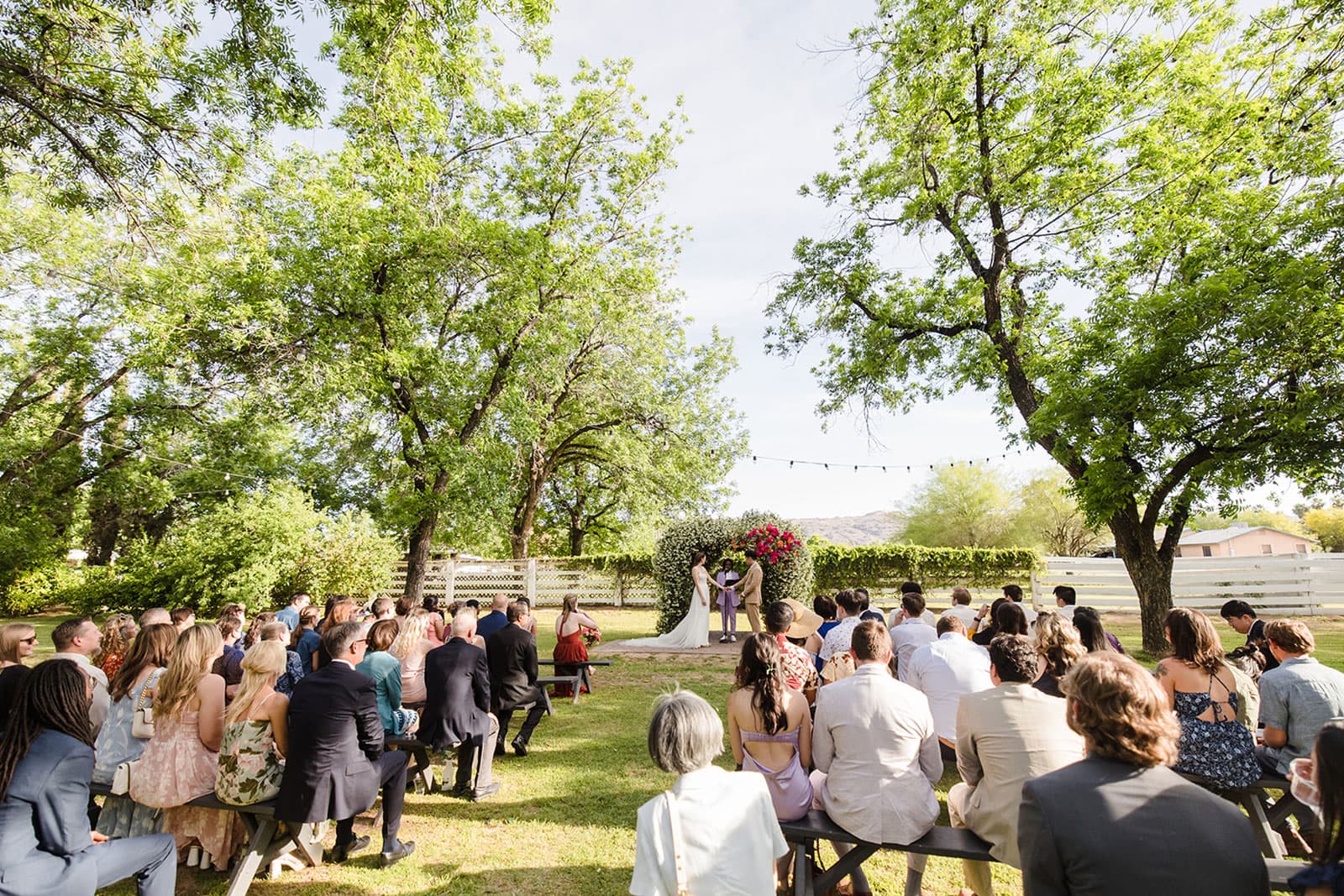 The Canopy in the Grove