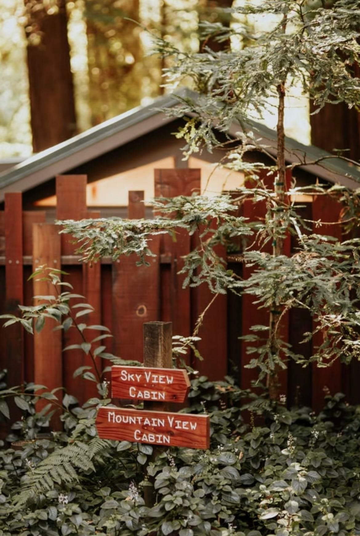 Glen Oaks Big Sur portfolio 3