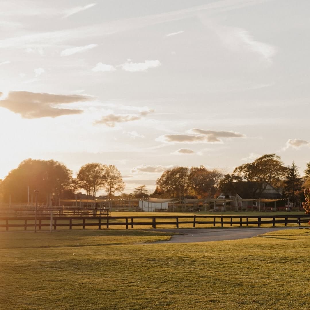 RGNY Vineyard portfolio 6