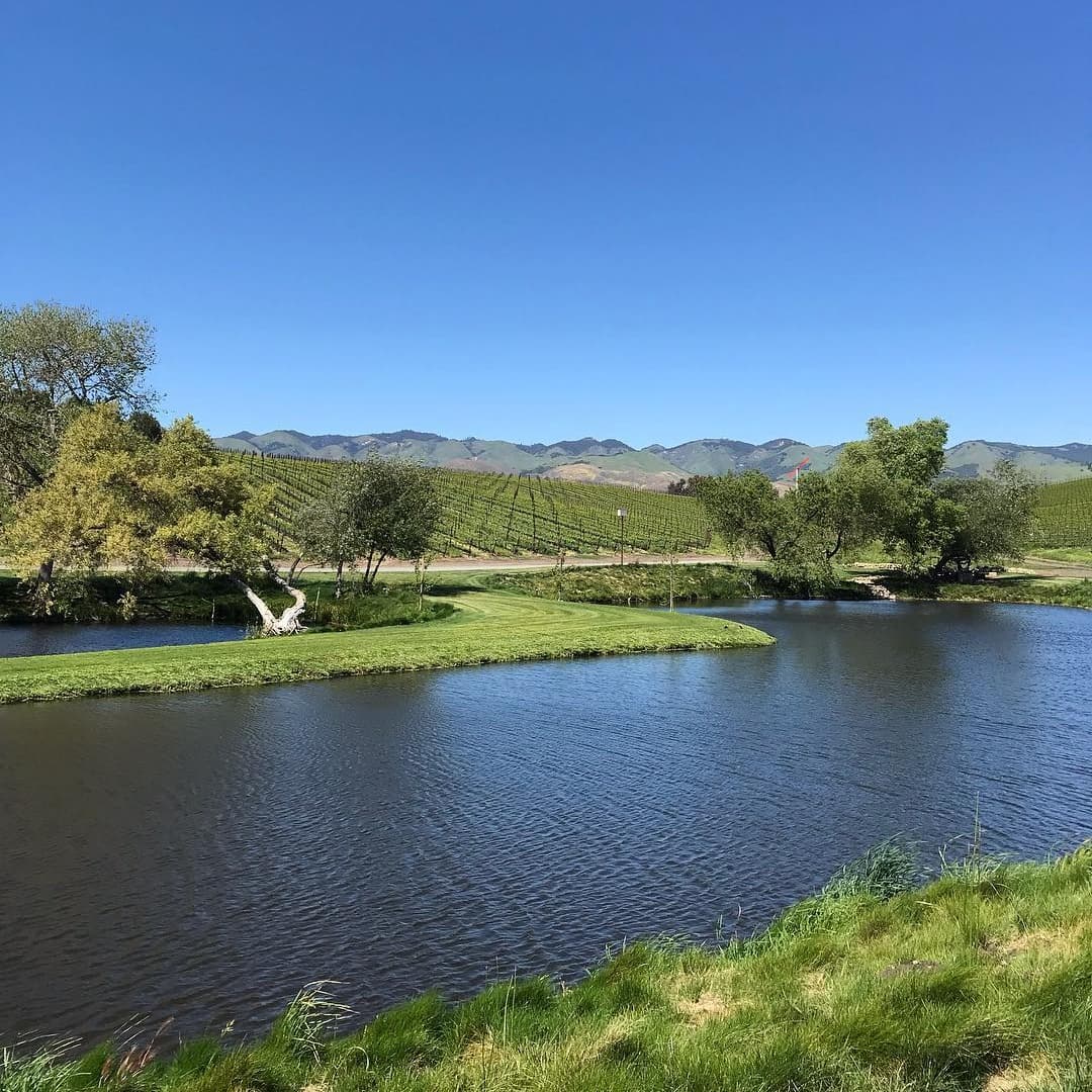 Greengate Ranch & Vineyard portfolio 2