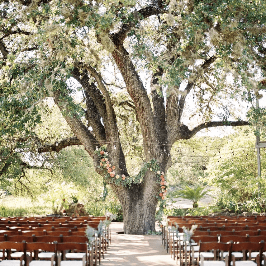 The Greenhouse at Driftwood portfolio 2