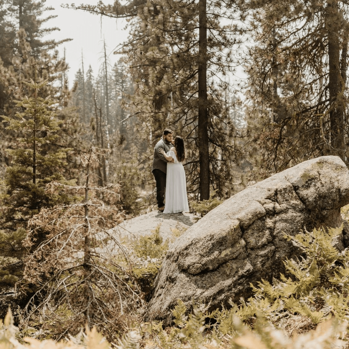 Sequoia National Park Elopement 3
