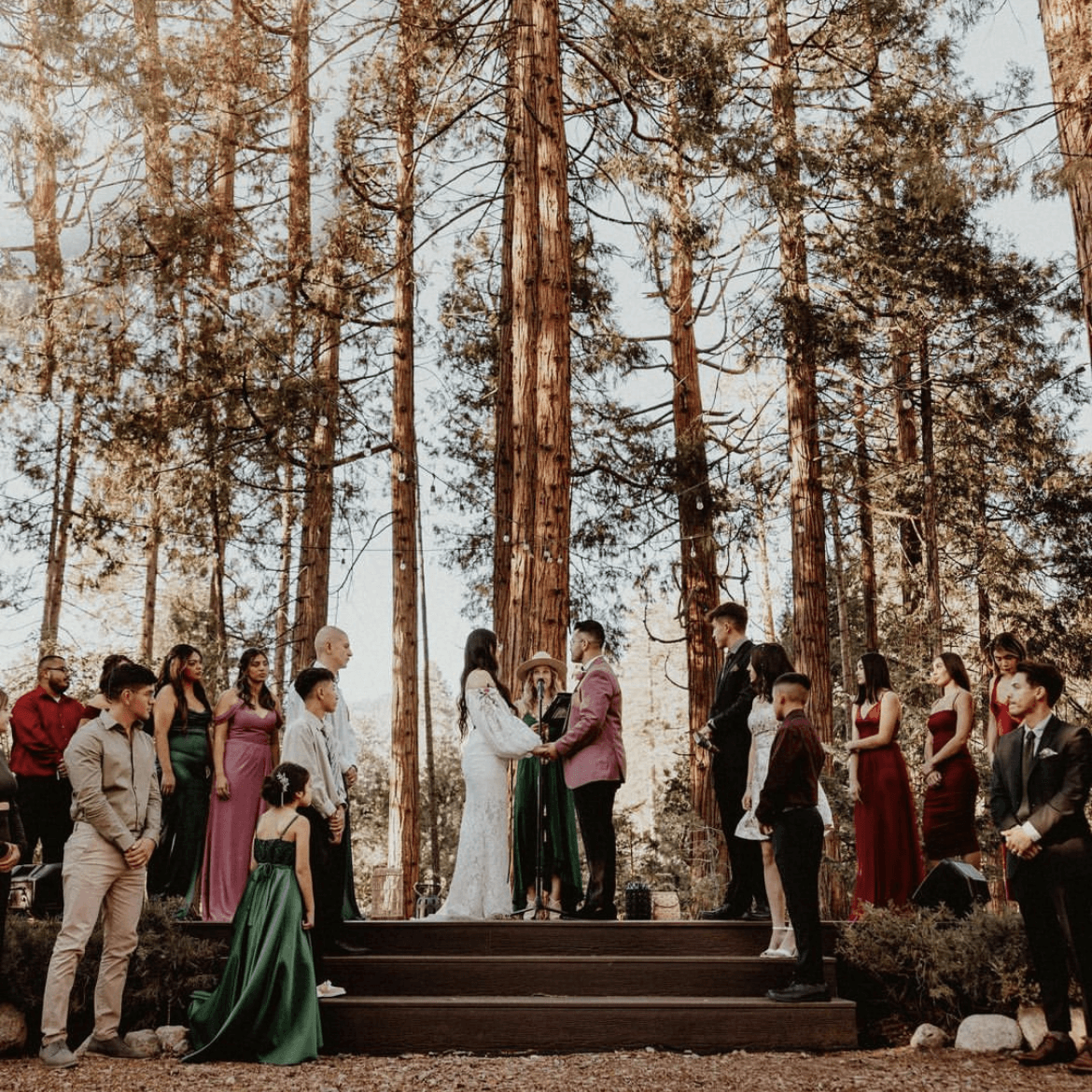 Harvey House portfolio 2