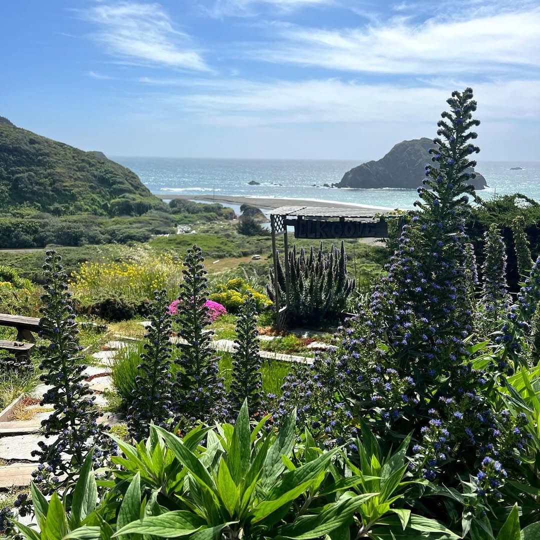 Elk Cove Inn & Spa portfolio 2