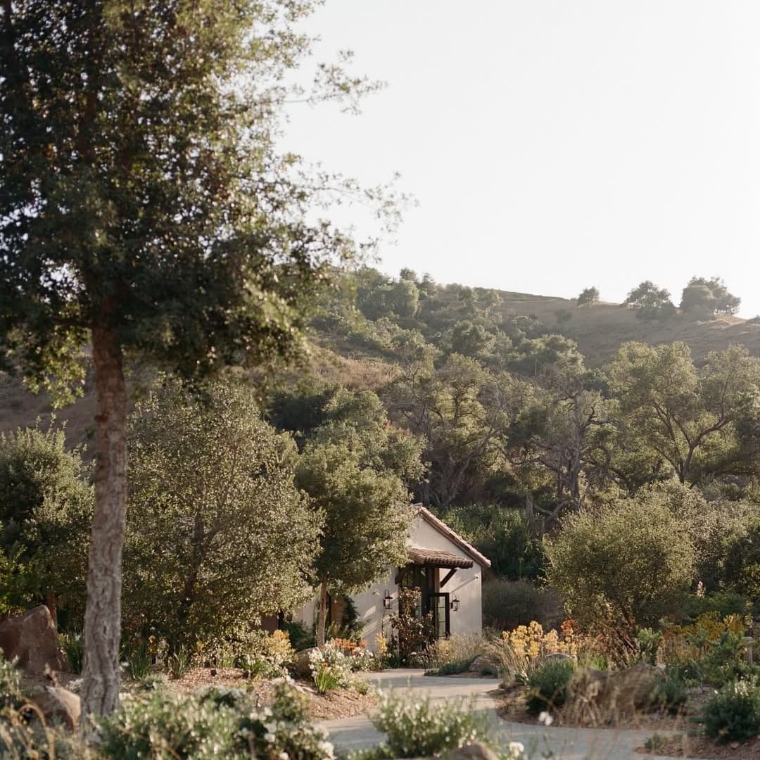 Monserate Winery portfolio 4