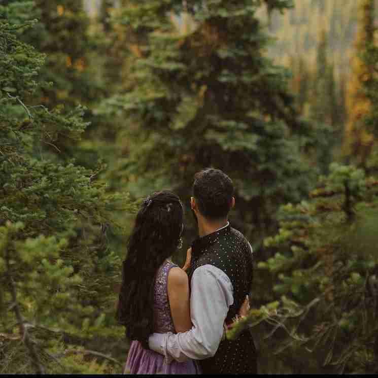 Moore Cove Falls Elopement 3