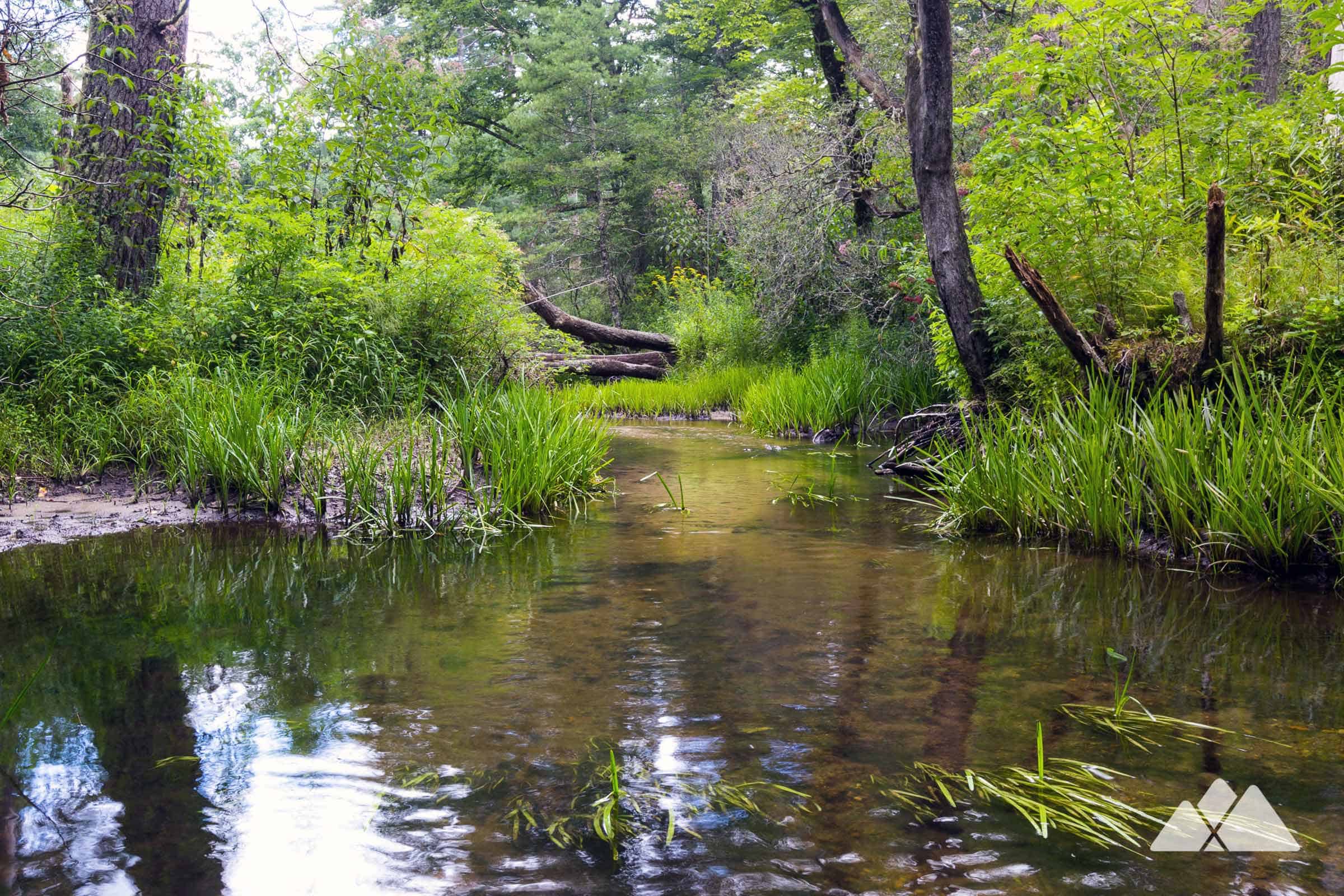 Pink Beds (Pisgah National Forest)