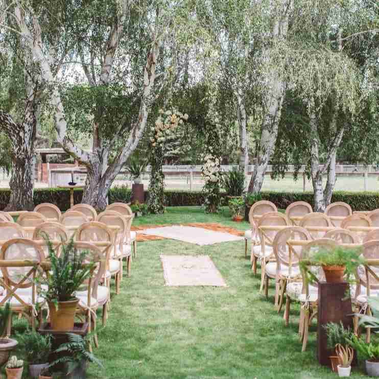 Whispering Rose Ranch portfolio 4