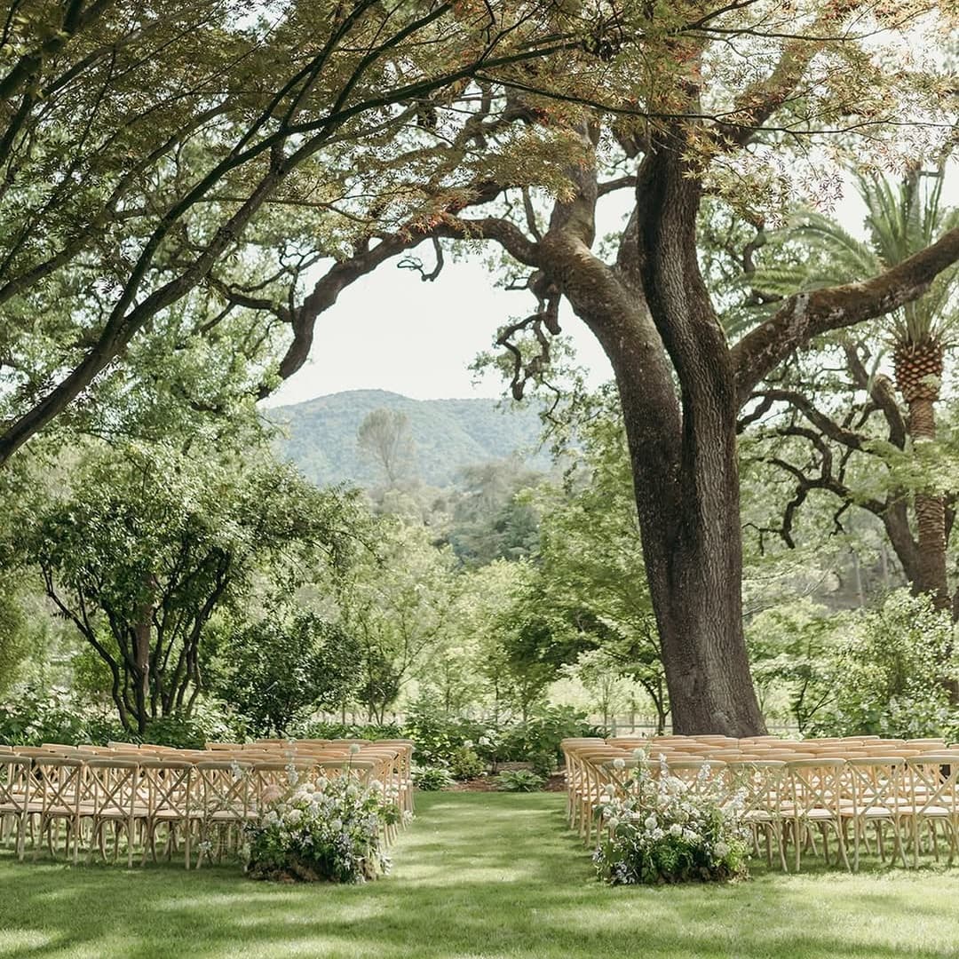 Beaulieu Garden portfolio 5